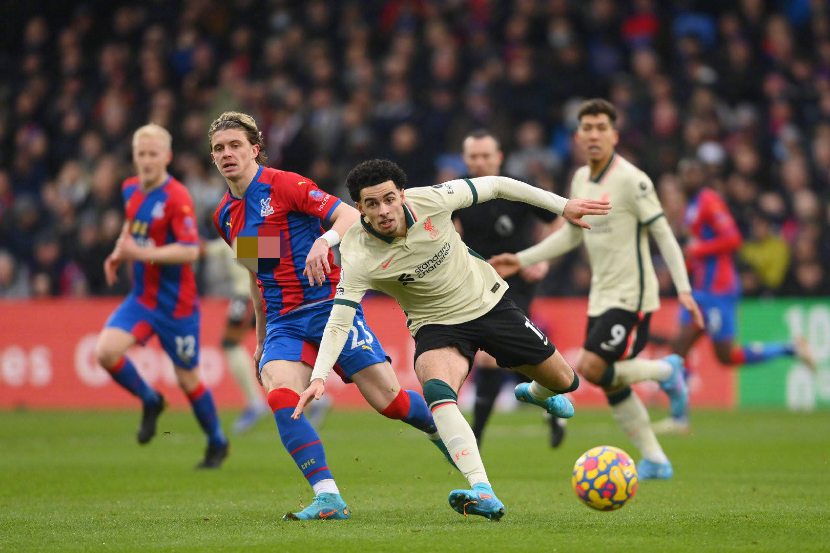 球员指明了 球员指明了